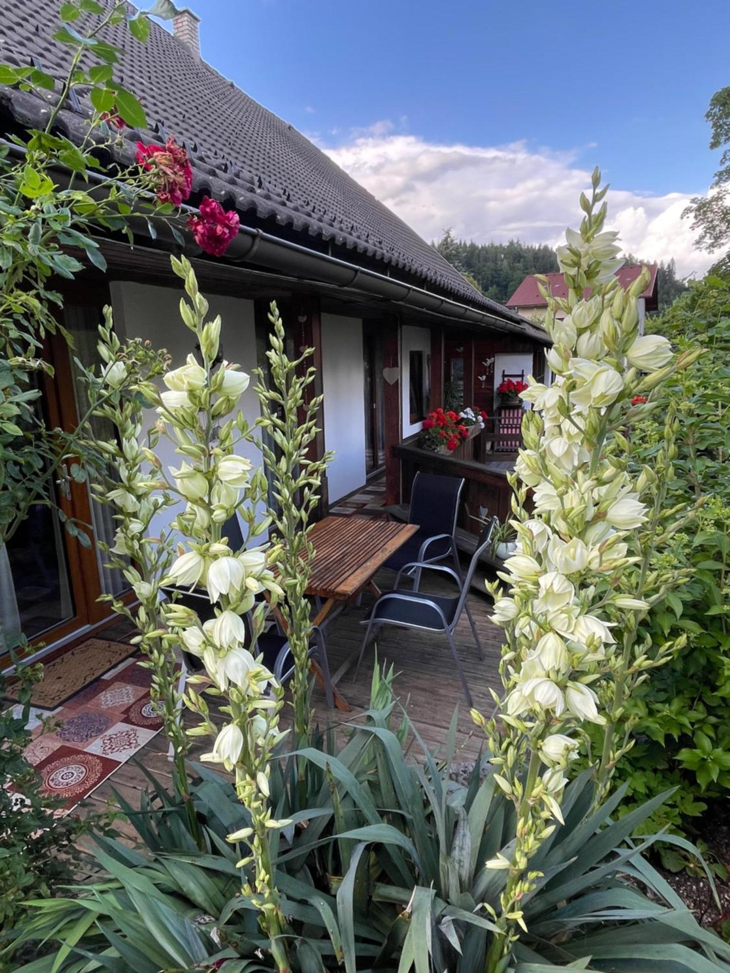 Apartments Wrolich Latschach ober dem Faakersee Dış mekan fotoğraf